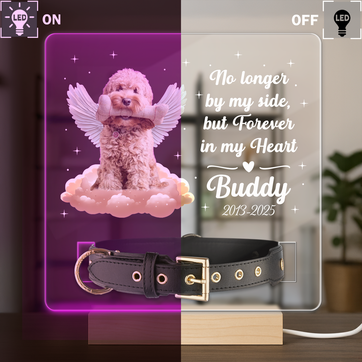 Custom Photo Dog Loss Memorial Acrylic Collar Frame CH07 896072