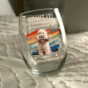 Custom Photo Admit It Life Would Be Boring Without Us Wine Glass HA75 892124