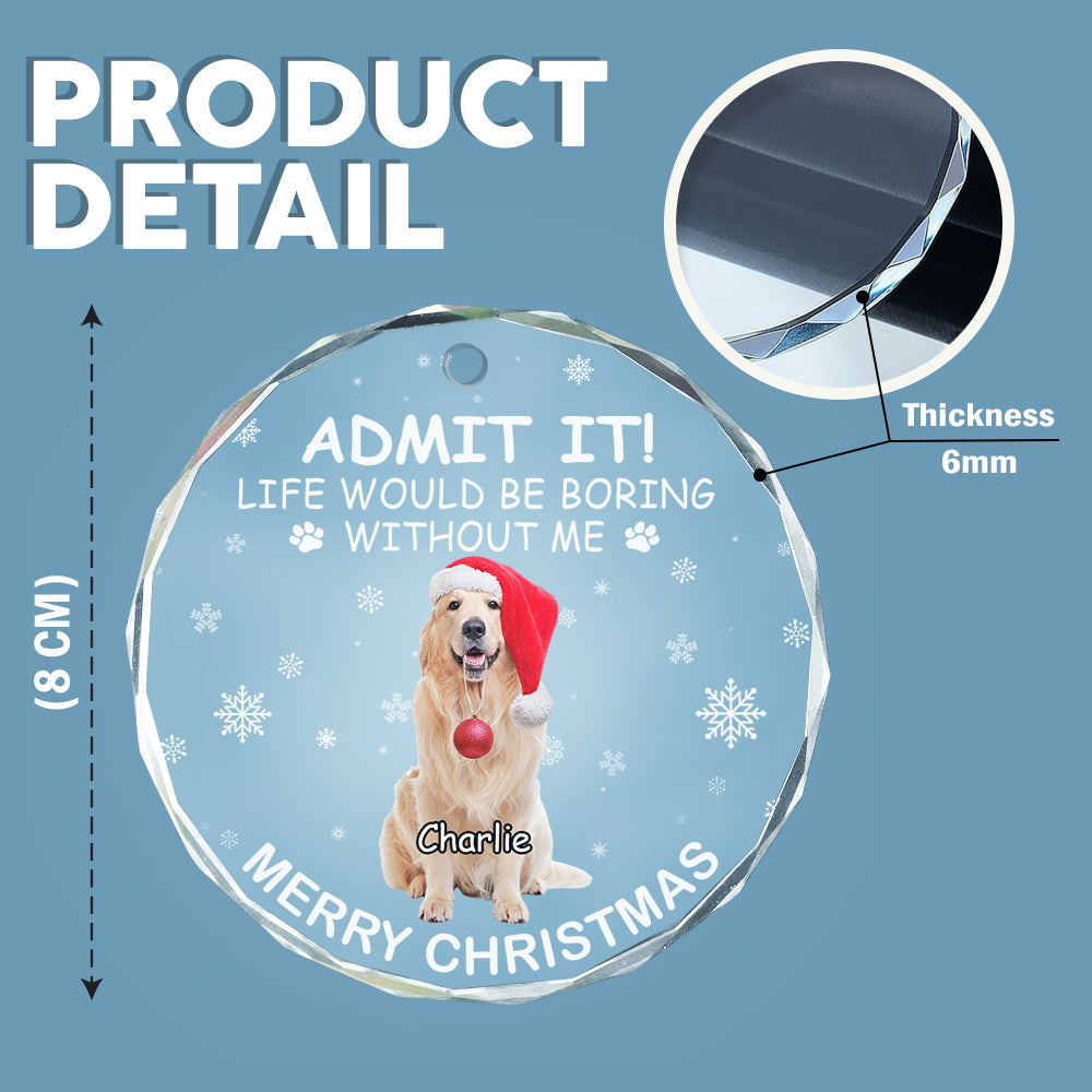 Custom Dog Cat Photo Life Would Be Boring Without Me Circle Glass Ornament CH07 896266