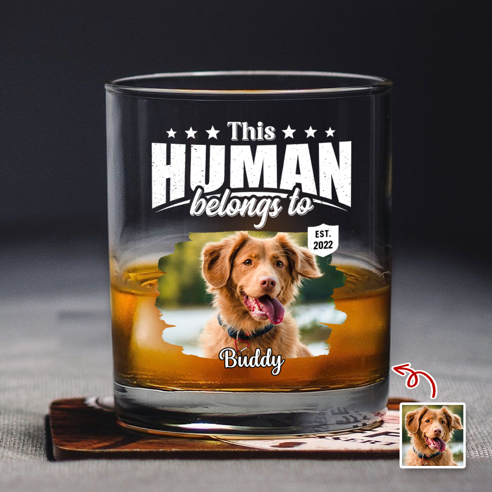 Custom Dog Cat Photo This Human Belongs To Rock Glass - Personalized Pet Lover Gift HA75 921368