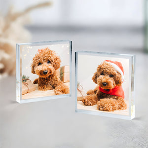 Custom Photo In loving Memory Dog Memorial Wooden & Acrylic Photo Block Set HA75 892700