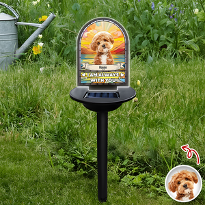 Custom Dog Cat Photo I'm Always With You Memorial Solar Light TH10 896055