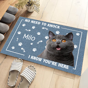 Custom Photo No Need To Knock, We Know You're Here Doormat For Dog Cat Lovers HA75 891936