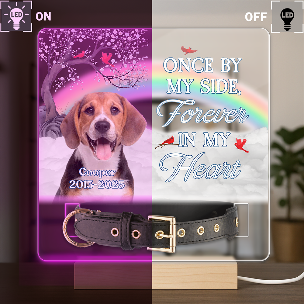 One By My Side Forever In My Heart Custom Dog Cat Memorial Photo Acrylic Collar Frame CH07 896088