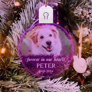 Custom Dog Photo Forever in Our Heart Memorial Circle Led Acrylic Ornament HO82 893216