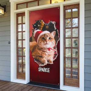 Custom Cat Photo Christmas Door Cover Gift For Cat Lovers TH10 896569