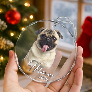 Custom Pet Photo Christmas Glass Ornament Gift For Pet Lovers TH10 894775