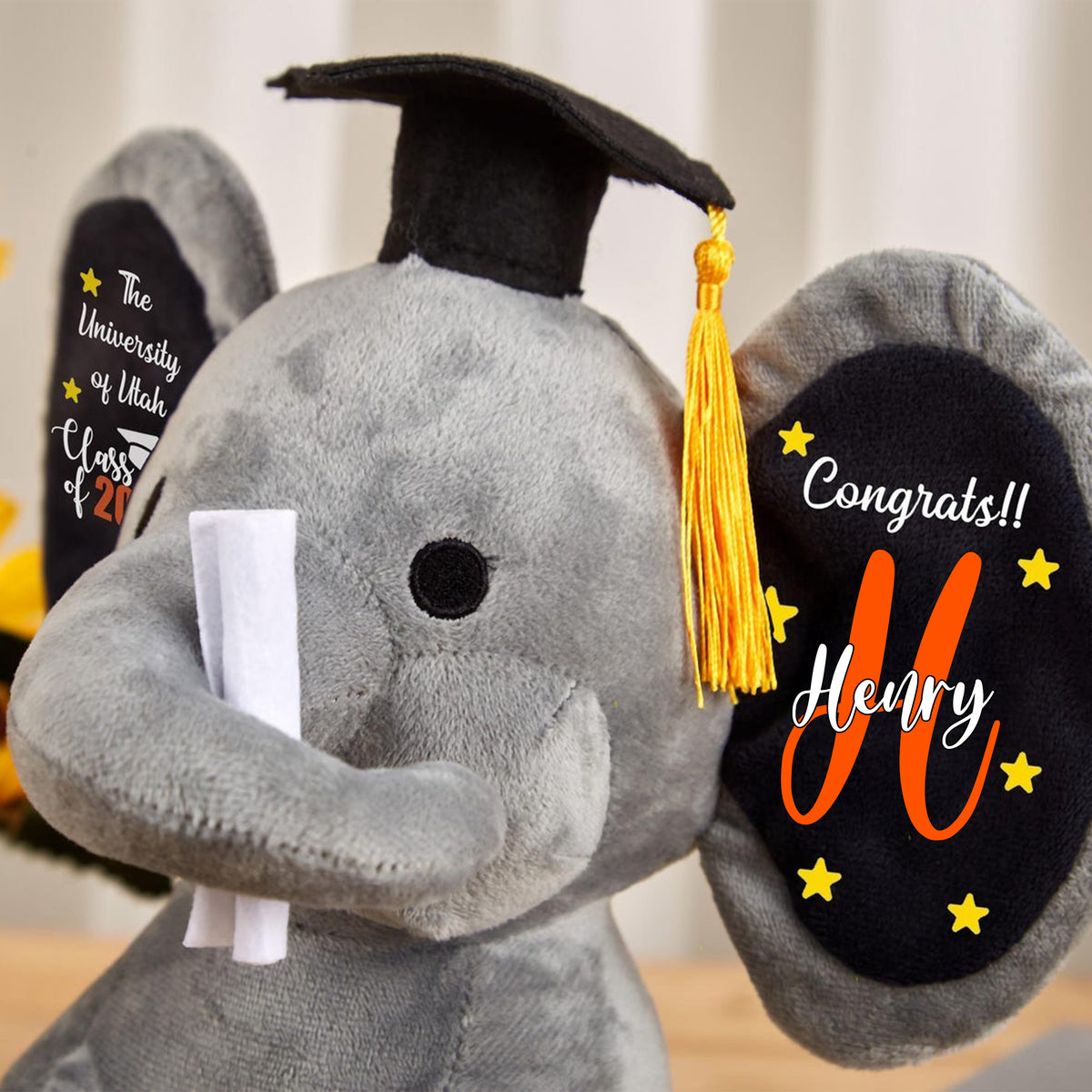 Custom Graduation Class Of 2026 Elephant Stuffed Animal With Name LM32 897683