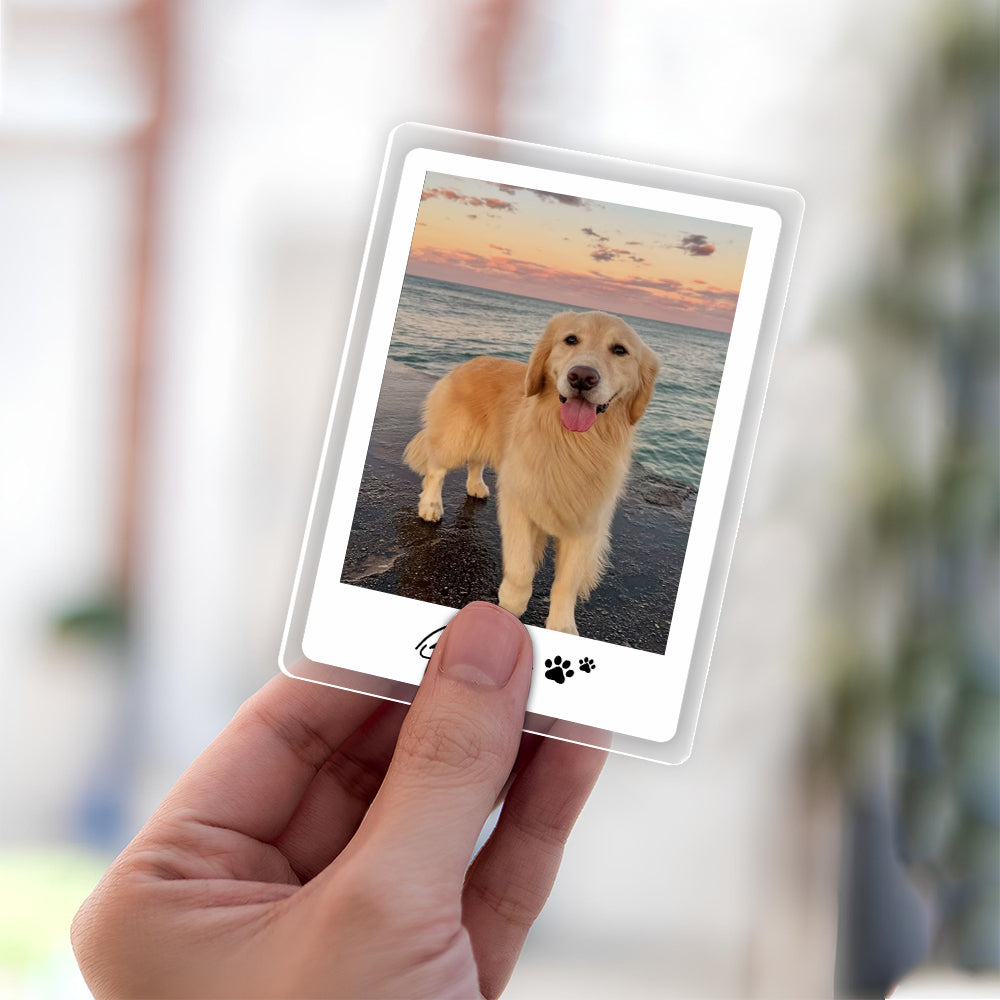 Custom Pet Photo Car Visor Clip - Personalized Gift for Pet Lovers, Dog & Cat Owners LM32 899595