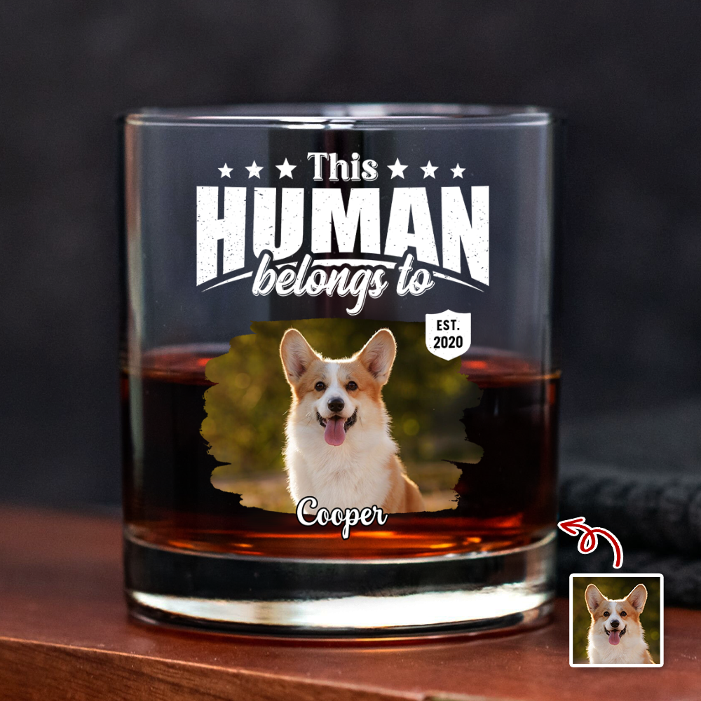 Custom Dog Cat Photo This Human Belongs To Rock Glass - Personalized Pet Lover Gift HA75 921368