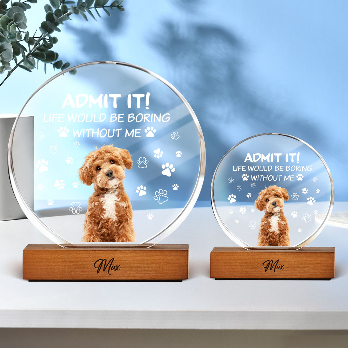 Custom Dog Cat Photo Life Would Be Boring Without Me Round Acrylic Frame Block HO82 894190