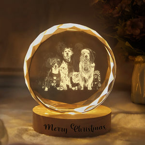Custom Dog Cat Photo Engraved Crystal Photo With Light HA75 898202