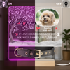 You Were My Favorite Hello And My Hardest Goodbye - Custom Pet Memorial Acrylic Collar Frame CH07 896082