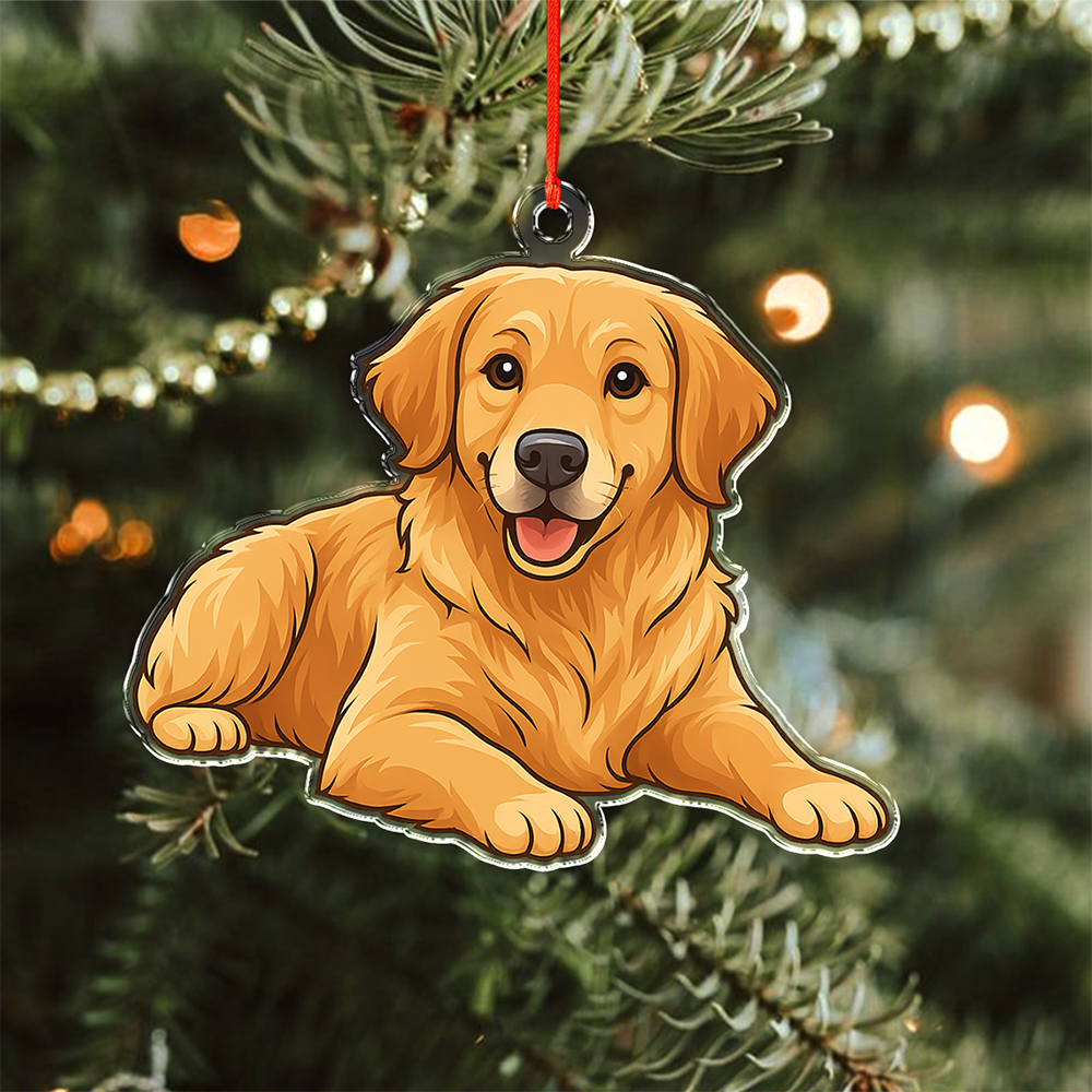 Custom Dog Cat Cartoon Photo Decor Acrylic Ornament LM32 893807