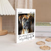 Custom Dog Photo Memorial Building Brick Blocks Gift For Dog Lover CH07 180500