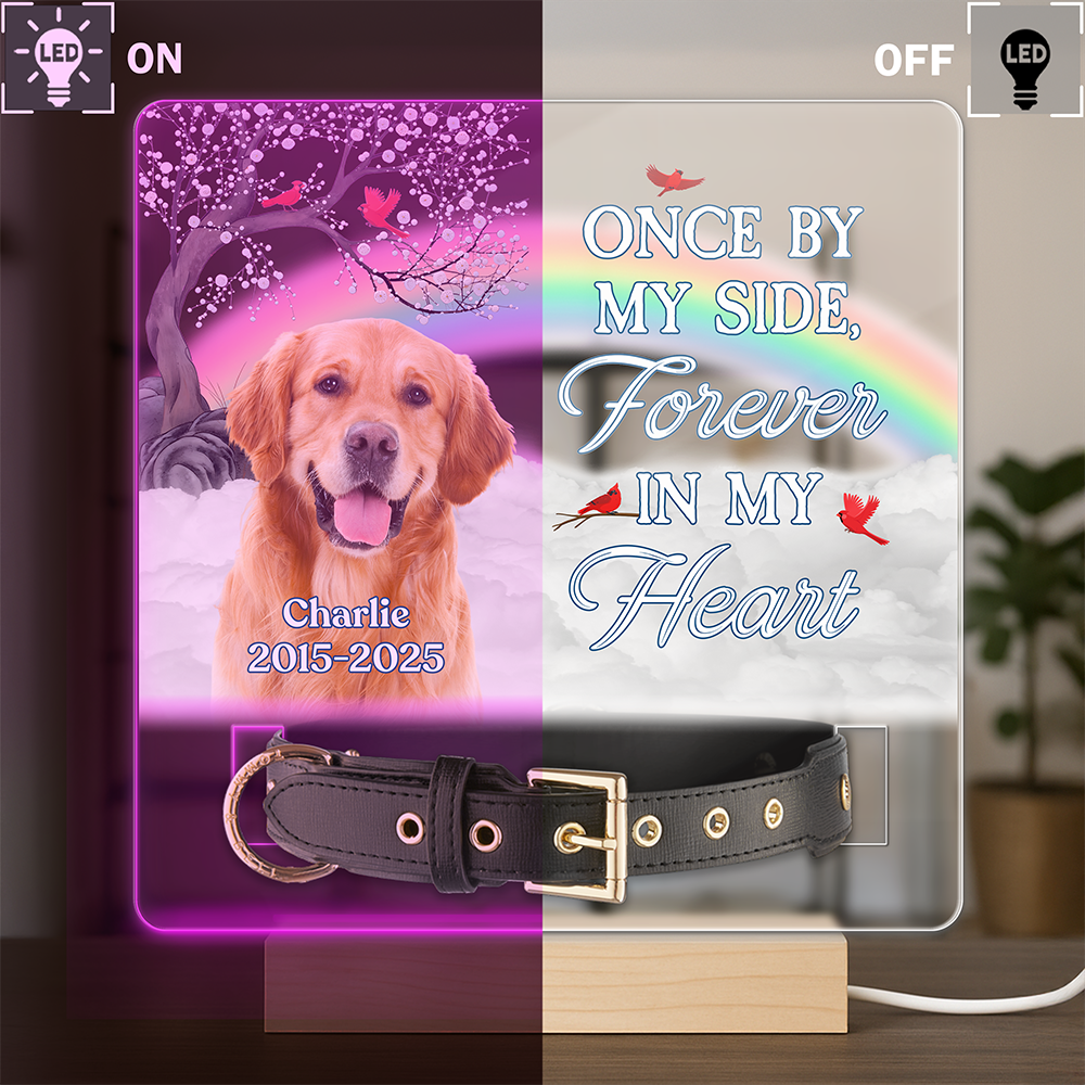 One By My Side Forever In My Heart Custom Dog Cat Memorial Photo Acrylic Collar Frame CH07 896088