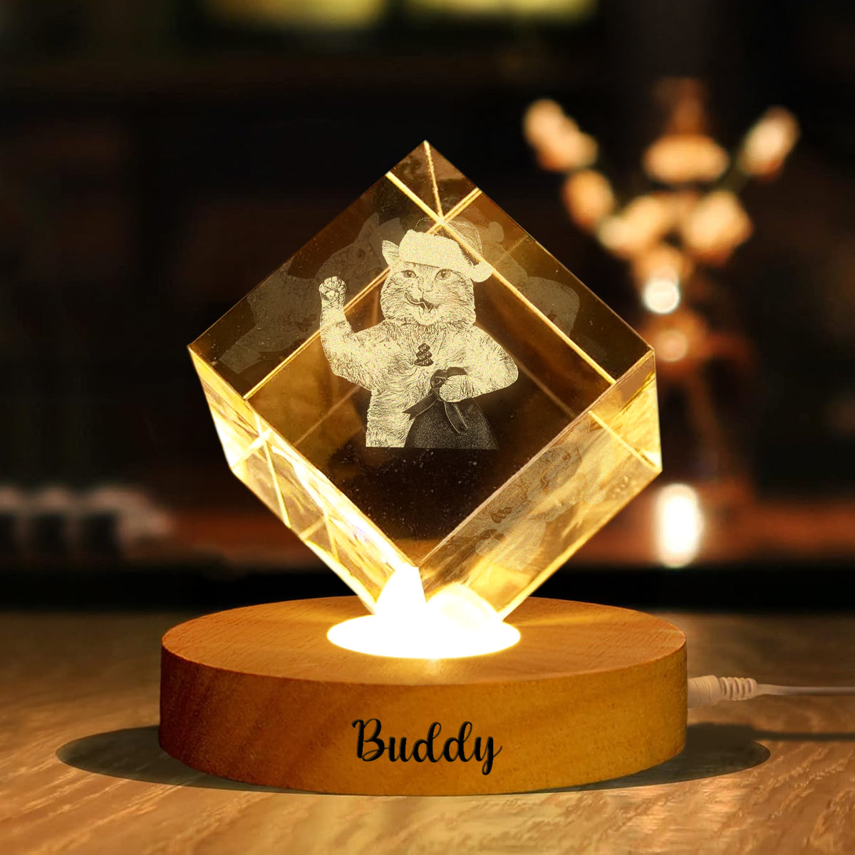 Custom Dog Cat Photo Engraved Crystal Photo With Light HA75 898202