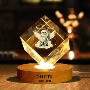 Custom Photo Dog Cat Pet Your Light Will Always Shine In My Heart Memorial Engraved Crystal Photo With Light HA75 898212
