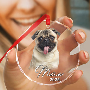 Custom Pet Photo Christmas Glass Ornament Gift For Pet Lovers TH10 894775