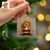 Custom Pet Mugshot Photo Acrylic Ornament Funny Dog Cat Lover Christmas Gift HO82 903318