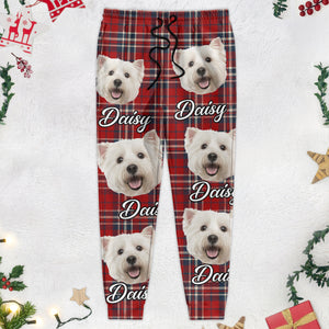 Custom Cat Photo With Colorful Background Sweatpants TA29 HA75 889510