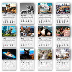 Funny Lazy Cats Wall Calendar 2026 For Cat Lovers LM32 897309