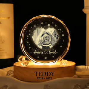 Custom Photo Forever Loved Memorial Dog Cat Engraved Crystal Photo With Light HA75 898214