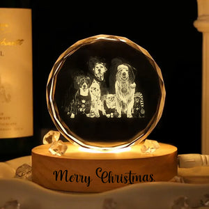 Custom Dog Cat Photo Engraved Crystal Photo With Light HA75 898202