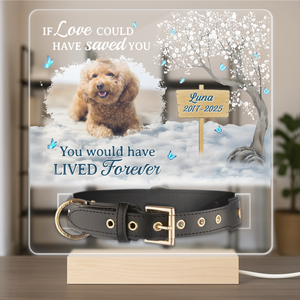 You Are My Favorite Hello An My Hardest Goodbye - Custom Pet Photo Memorial Acrylic Collar Frame CH07 896078