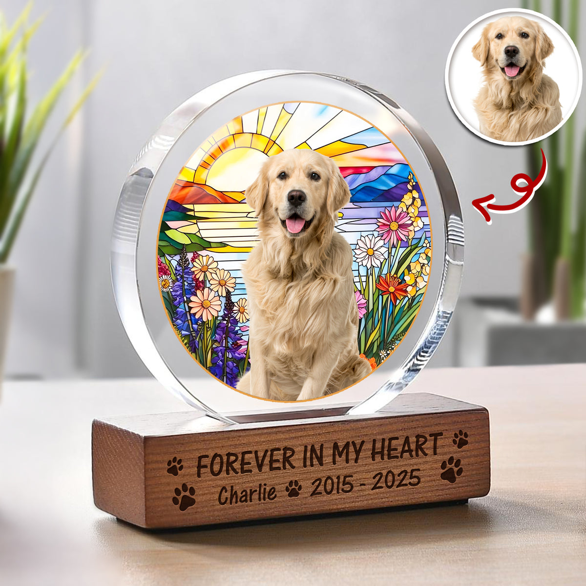 Custom Photo Forever In My Heart Dog Cat Pet Memorial Round Acrylic Frame Block HA75 897014