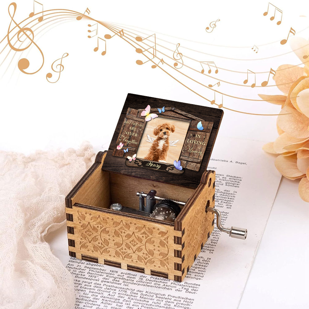 Custom Photo Best Friends Are Never Forgotten Dog Memorial Music Box LM32 893201