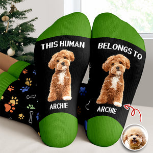 Custom Photo This Human Belongs To Dog Cat Crew Socks HA75 897616