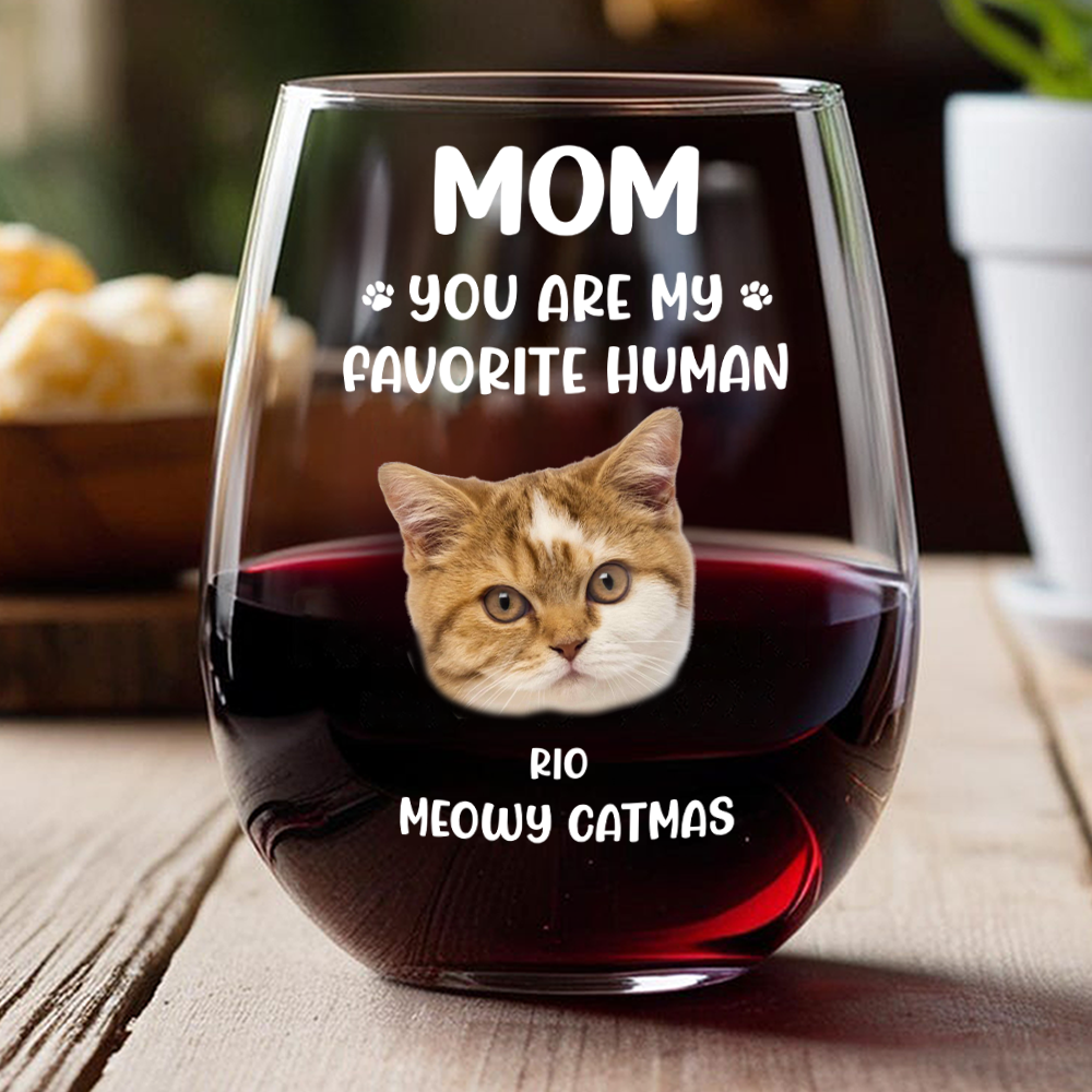 Custom Funny Face Dog Cat - Mom, You’re My Favorite Human Wine Glass HA75 892182