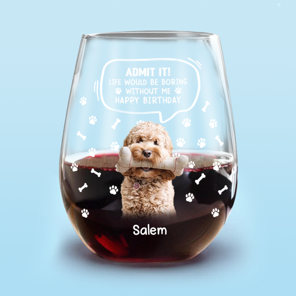 Custom Photo Life Would Be Boring Without Me Dog Cat Wine Glass HA75 892028