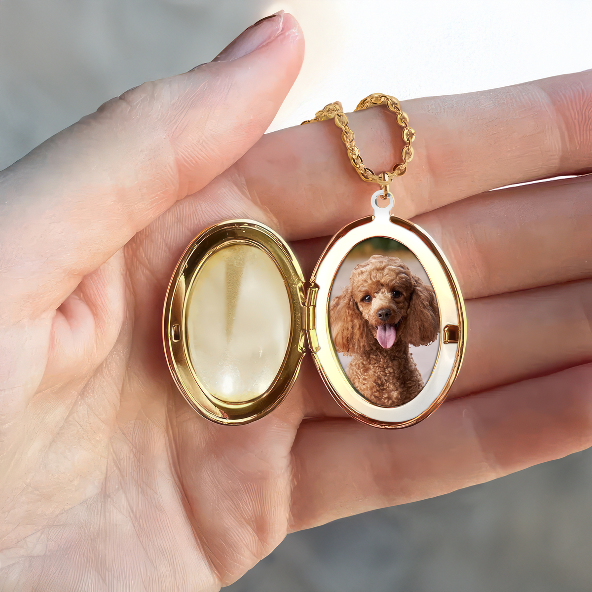 Custom Dog Cat Memorial Photo Personalized Don't Cry For Me Mom Locket Necklace CH07 895602
