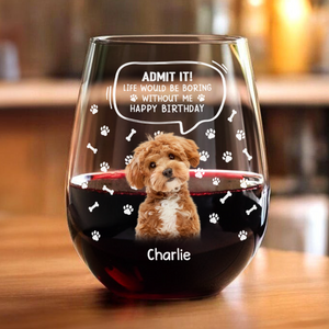 Custom Photo Life Would Be Boring Without Me Dog Cat Wine Glass HA75 892028