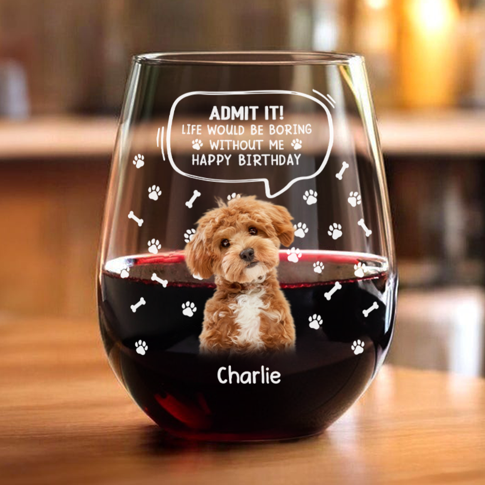 Custom Photo Life Would Be Boring Without Me Dog Cat Wine Glass HA75 892028