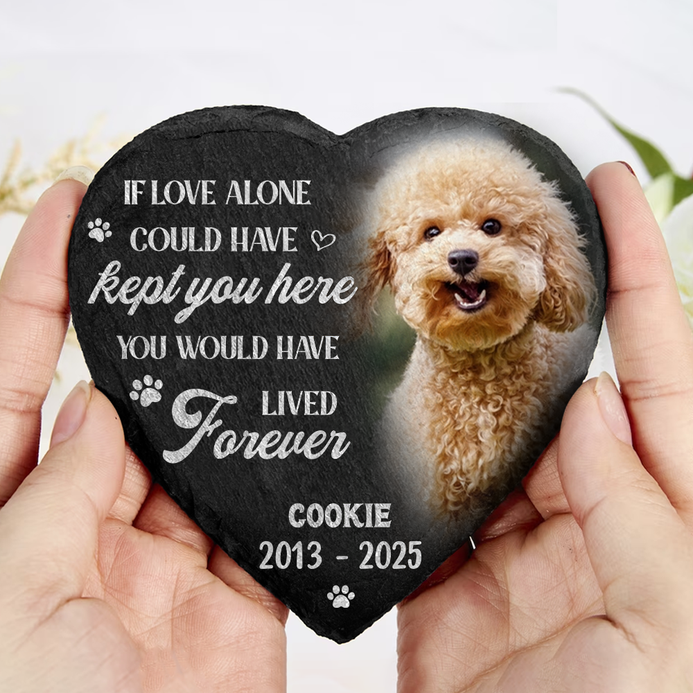 Custom Photo You Would Have Lived Forever Pet Memorial Heart Shaped Stone With Stand HA75 891212