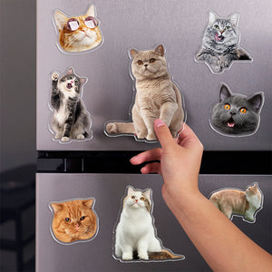 Custom Photo Cat Pet Personalized Acrylic Fridge Magnet For Cat Lovers HA75 897908