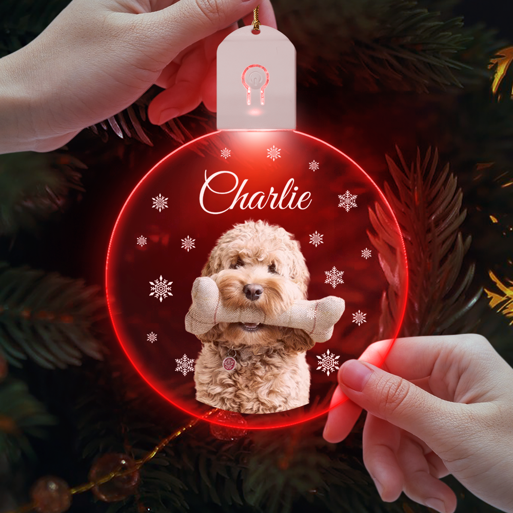 Custom Photo Dog Circle Led Acryric Ornament Christmas Gift For Dog Lovers HA75 891652