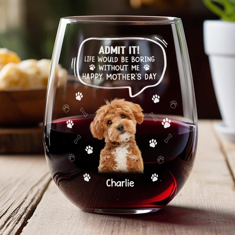 Custom Photo Life Would Be Boring Without Me Dog Cat Wine Glass HA75 892028