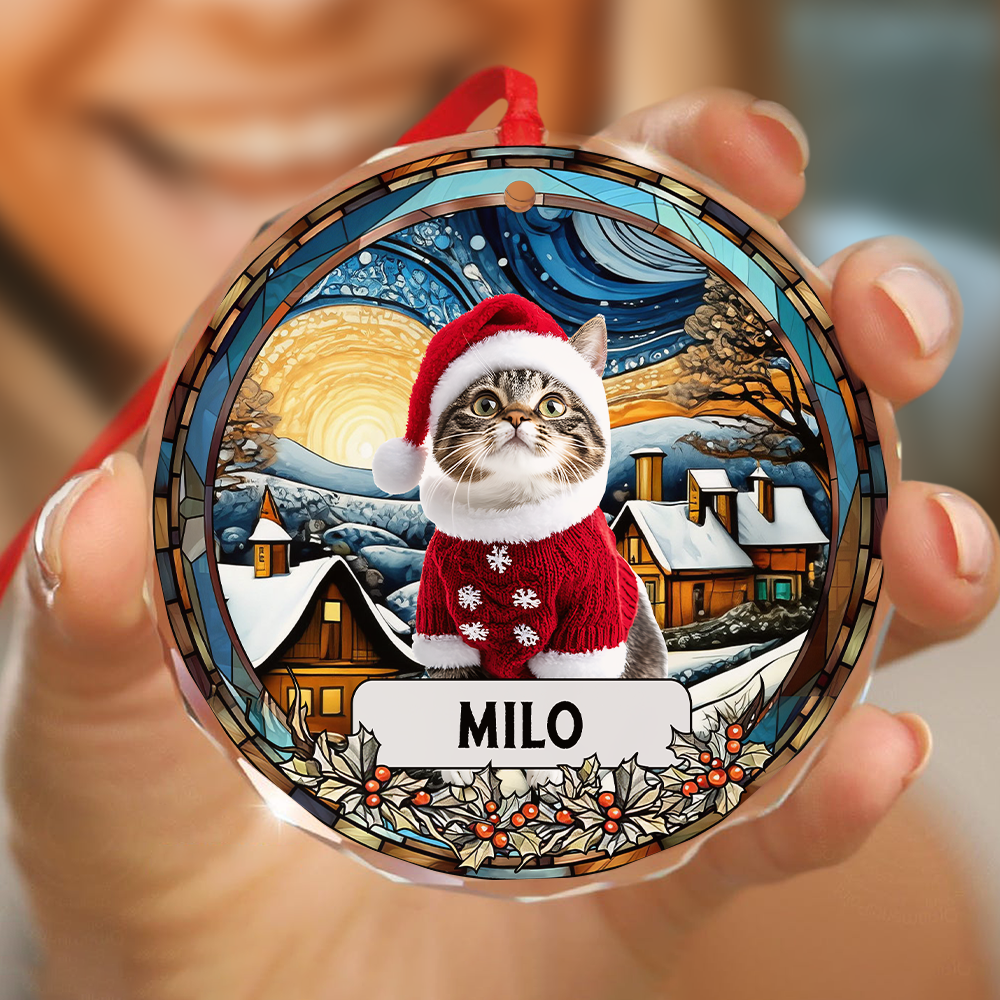 Custom Photo and Name Christmas Cat Circle Glass Ornament HA75 897244