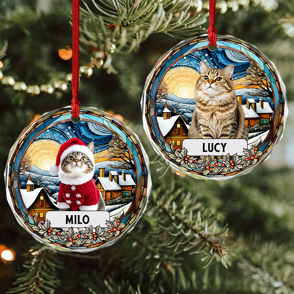 Custom Photo and Name Christmas Cat Circle Glass Ornament HA75 897244