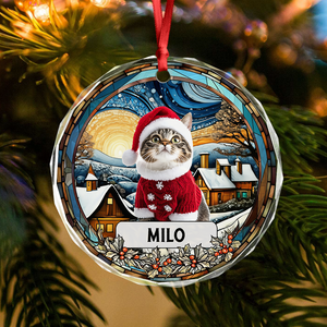Custom Photo and Name Christmas Cat Circle Glass Ornament HA75 897244
