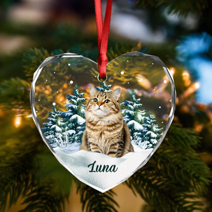 Custom Photo Cat Heart Shaped Glass Ornament For Christmas HA75 897242
