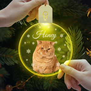 Custom Photo Cat Circle Led Acryric Ornament Christmas Gift For Cat Lovers HA75 891650