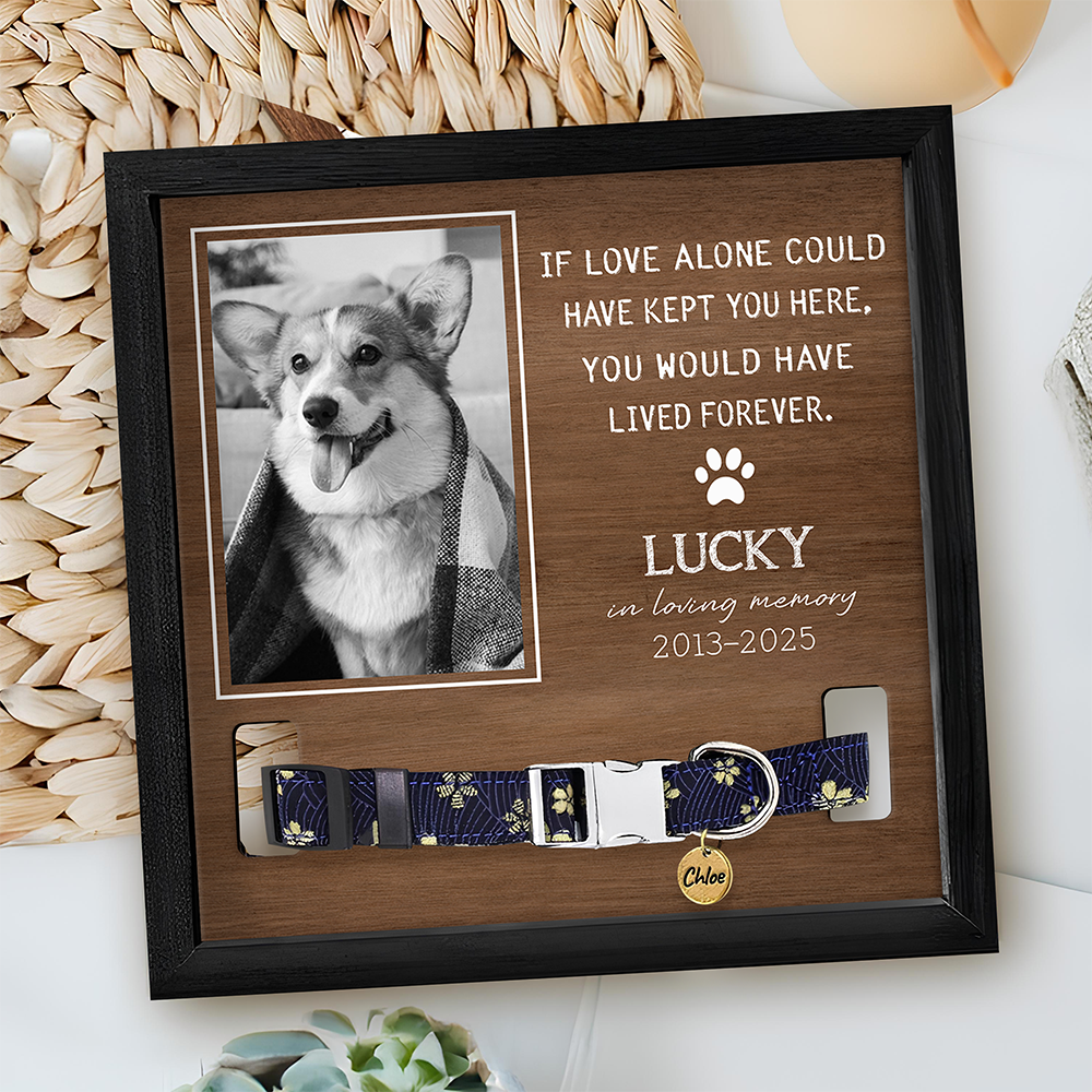 Custom Photo You Were My Favorite Hello And My Hardest Goodbye Memorial Square Collar Frame TH10 892651