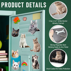 Custom Photo Cat Pet Personalized Acrylic Fridge Magnet For Cat Lovers HA75 897908