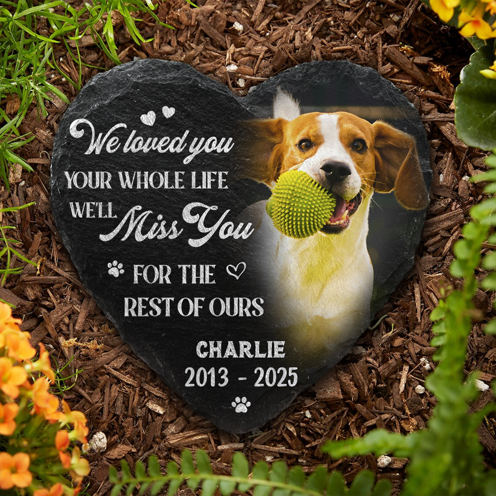 Custom Photo You Would Have Lived Forever Pet Memorial Heart Shaped Stone With Stand HA75 891212