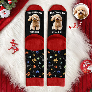 Custom Photo This Human Belongs To Dog Cat Crew Socks HA75 897616